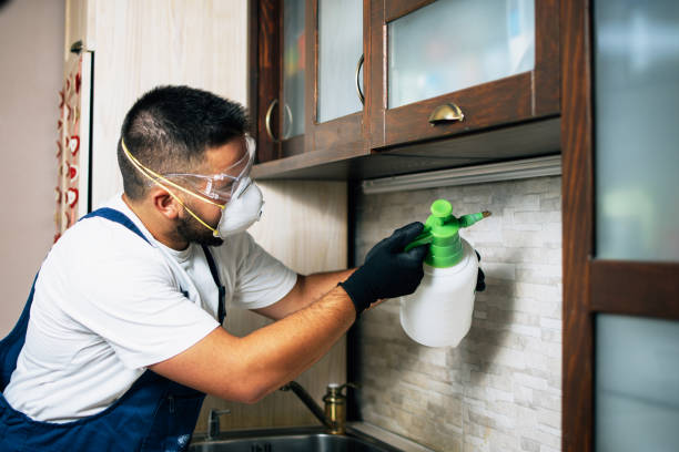 Professional Pest Control in Caney, KS