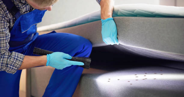 Best Affordable Pest Control Services  in Caney, KS