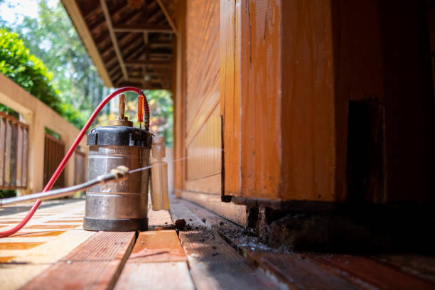 Best Ant Control Services  in Caney, KS