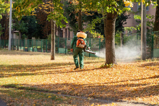 Best Ant Control Services  in Caney, KS